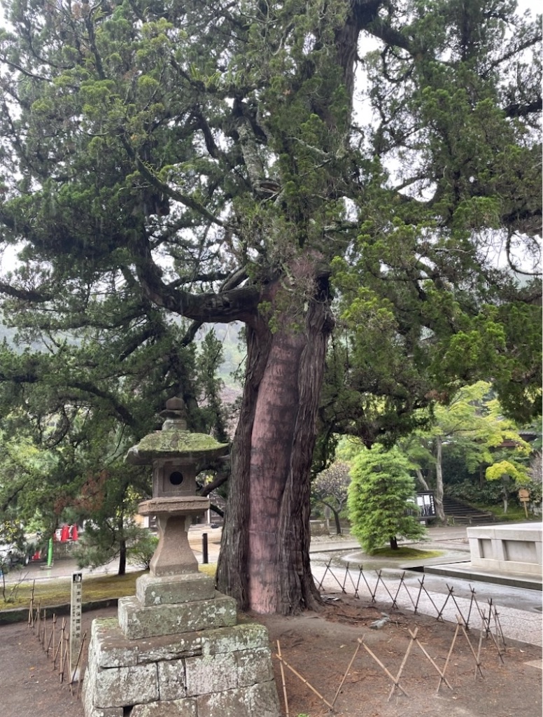 f:id:ziyukima2:20230930083450j:image f:id:ziyukima2:20230930083450j:image