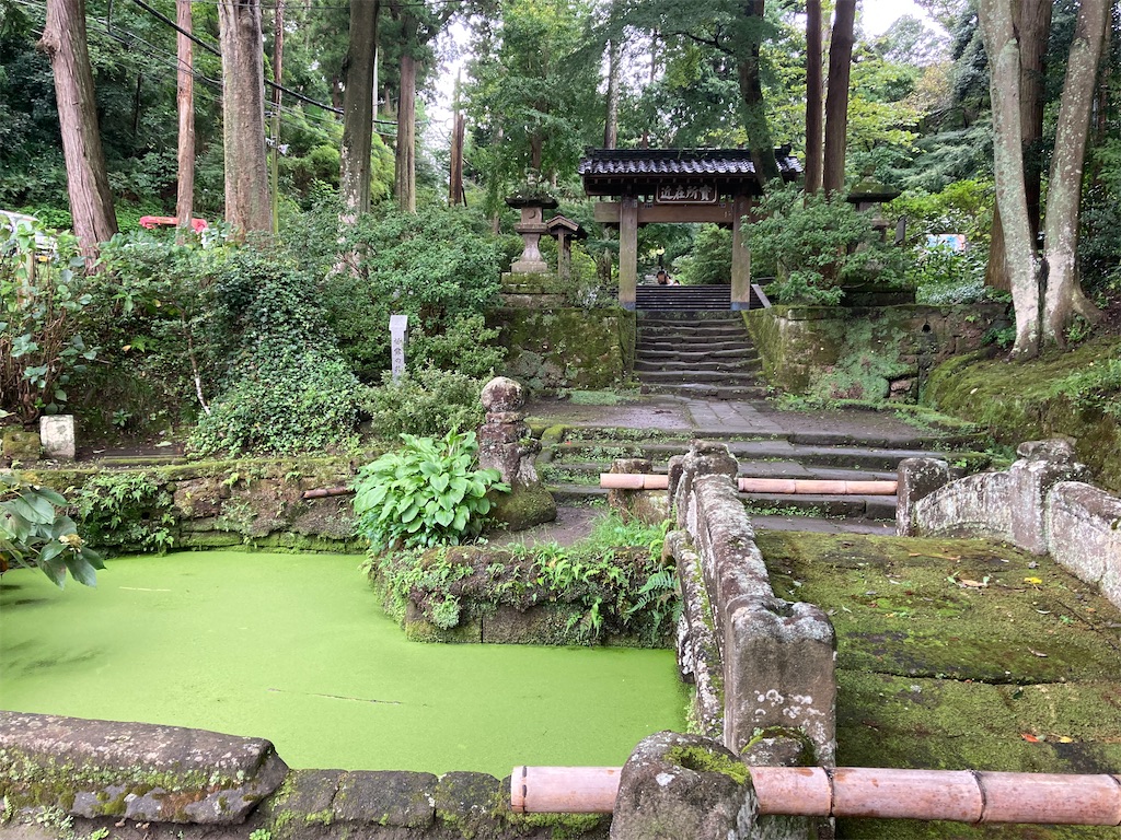 f:id:ziyukima2:20230930083825j:image f:id:ziyukima2:20230930083825j:image