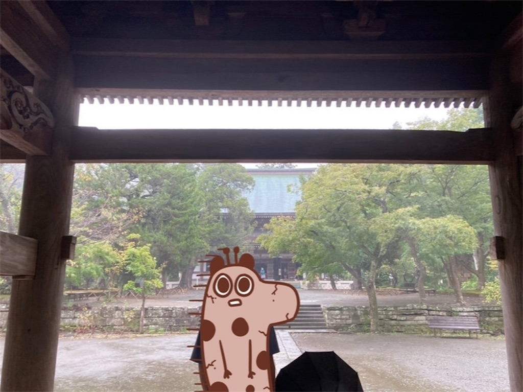 f:id:ziyukima2:20230930100431j:image f:id:ziyukima2:20230930100431j:image