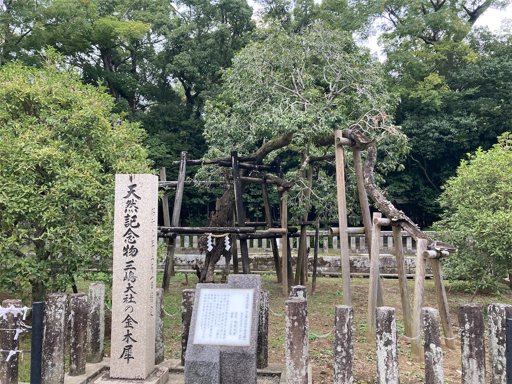 f:id:ziyukima2:20231019004549j:image f:id:ziyukima2:20231019004549j:image