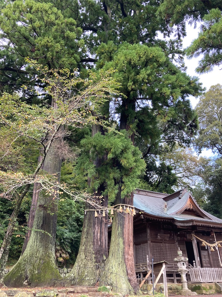 f:id:ziyukima2:20231019004727j:image f:id:ziyukima2:20231019004727j:image