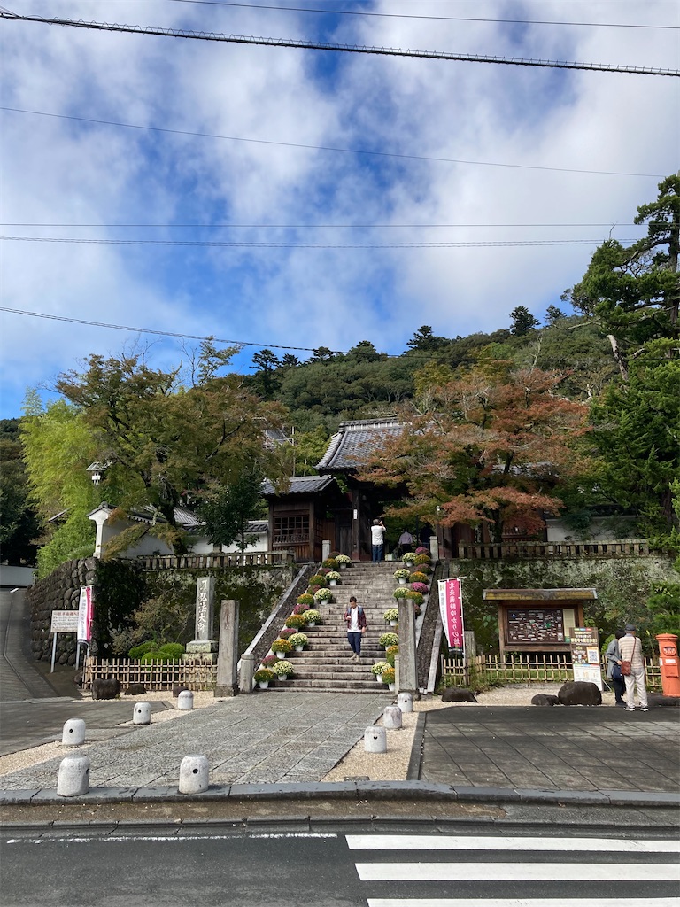 f:id:ziyukima2:20231019004750j:image f:id:ziyukima2:20231019004750j:image