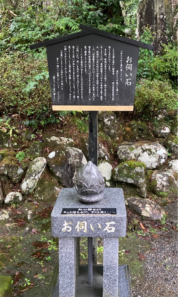 f:id:ziyukima2:20231019004841j:image f:id:ziyukima2:20231019004841j:image