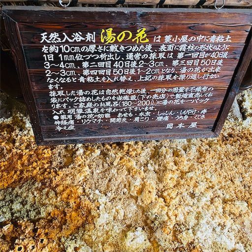 f:id:zizichan1103:20200119220223j:image