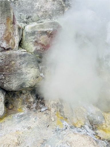 f:id:zizichan1103:20200119220244j:image