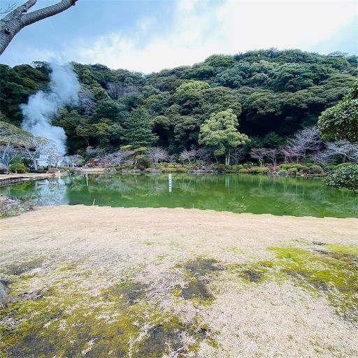 f:id:zizichan1103:20200120190024j:image