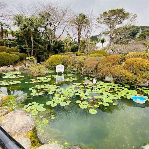 f:id:zizichan1103:20200120190045j:image