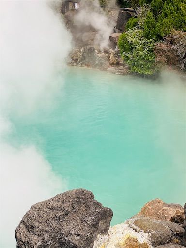 f:id:zizichan1103:20200120190415j:image