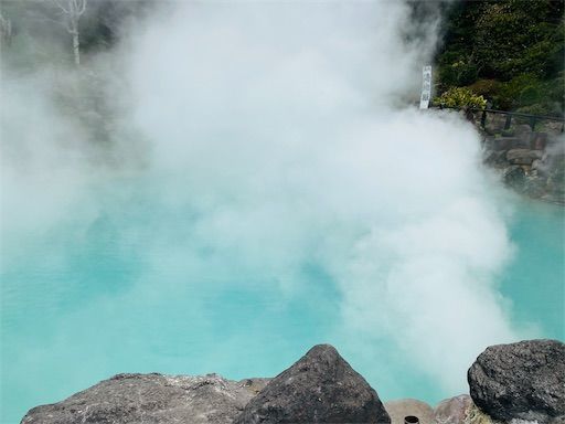 f:id:zizichan1103:20200120190420j:image