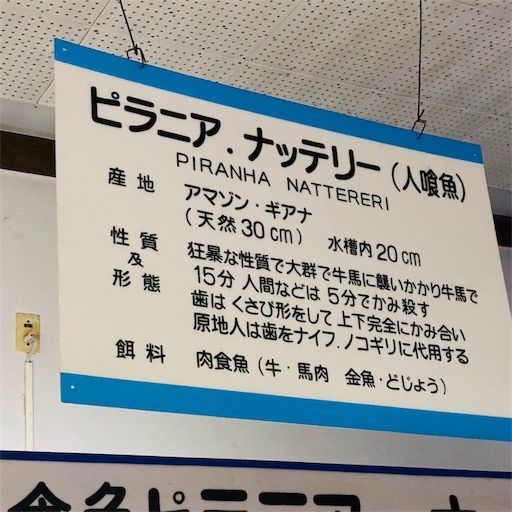 f:id:zizichan1103:20200121223744j:image