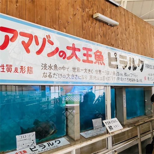 f:id:zizichan1103:20200121223955j:image