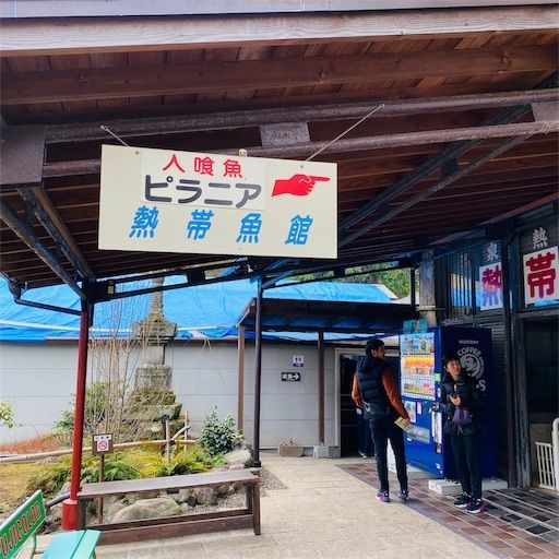 f:id:zizichan1103:20200121224131j:image