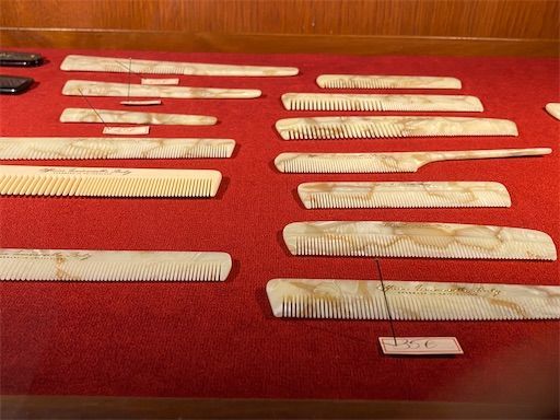 f:id:zizichan1103:20200312152629j:image