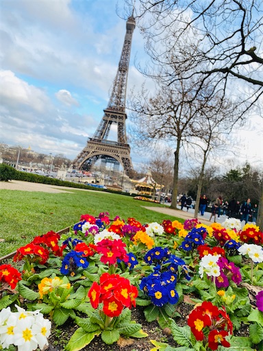 f:id:zizichan1103:20200319171348j:image