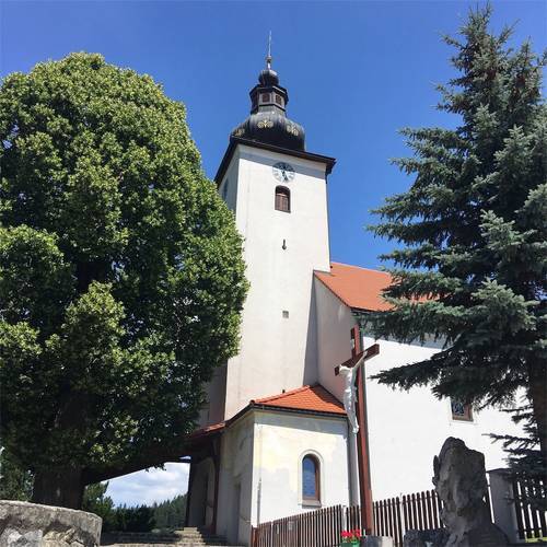 f:id:zizichan1103:20200606150212j:plain