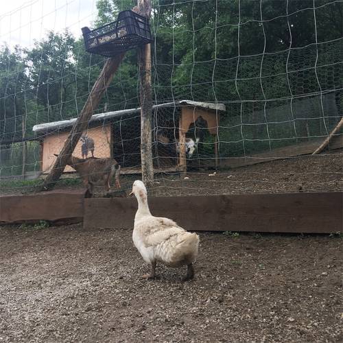 f:id:zizichan1103:20200606151821j:plain