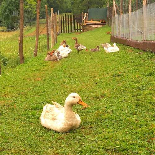 f:id:zizichan1103:20200606151920j:plain