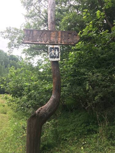 f:id:zizichan1103:20200606152127j:plain