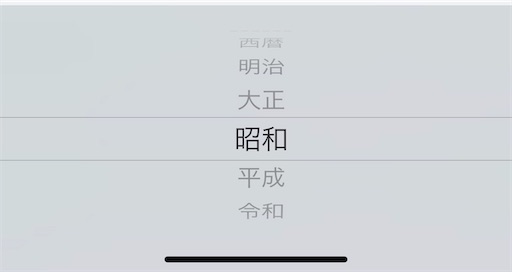 f:id:zizichan1103:20200721072944j:image