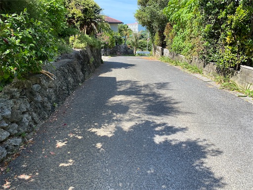 f:id:zizichan1103:20200827203449j:image