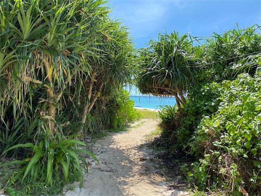 f:id:zizichan1103:20200827203520j:image