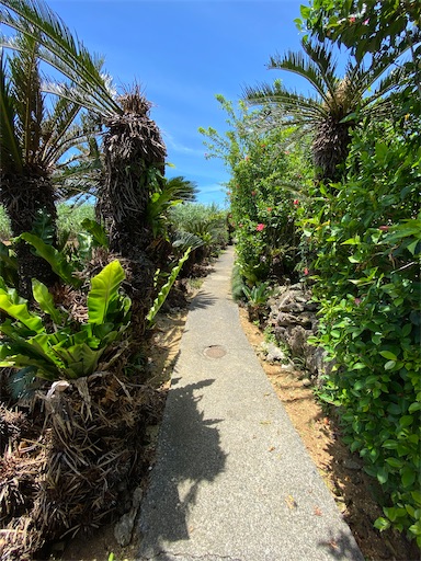 f:id:zizichan1103:20200907151515j:image