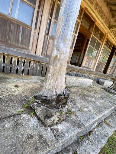 f:id:zizichan1103:20200907151553j:image