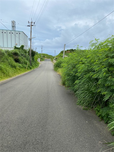 f:id:zizichan1103:20201001163527j:image