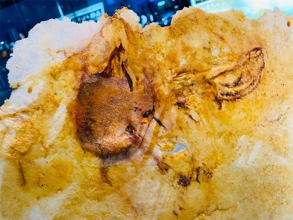 f:id:zizichan1103:20210506100657j:image