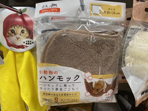 f:id:zizichan1103:20220105151015j:plain