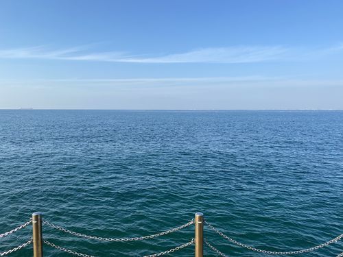 f:id:zizichan1103:20220129173338j:plain