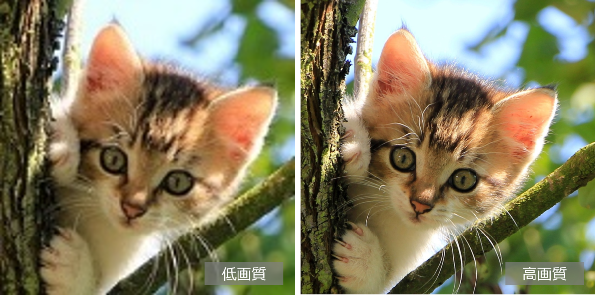 f:id:zkn360:20190412165755p:plain f:id:zkn360:20190412165755p:plain