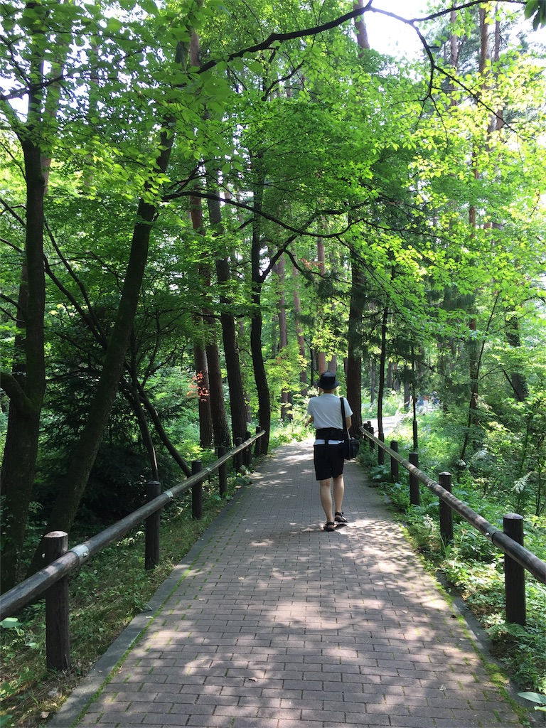 f:id:znyan:20180727113821j:image