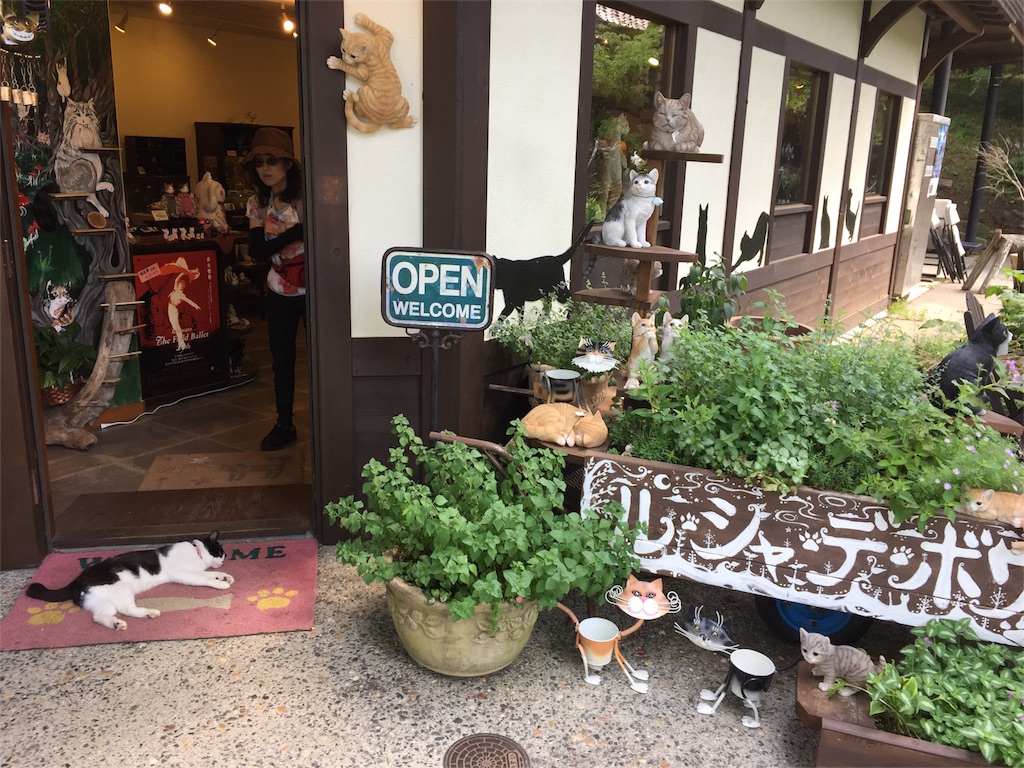 f:id:znyan:20180730105556j:image