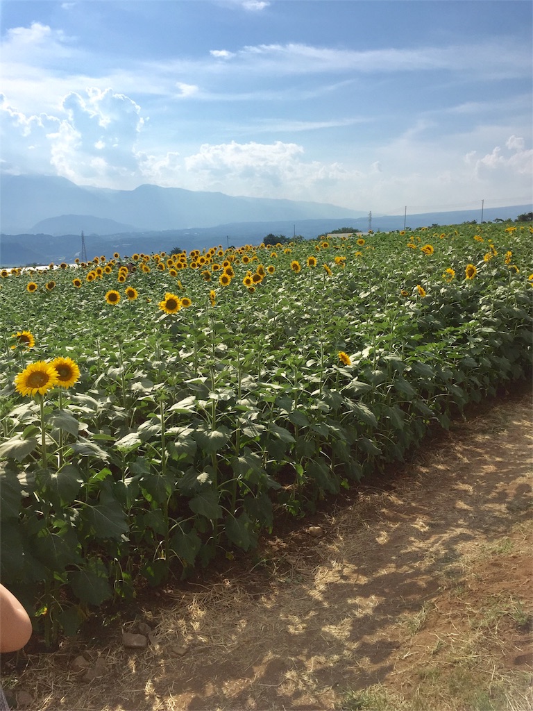 f:id:znyan:20180730204316j:image