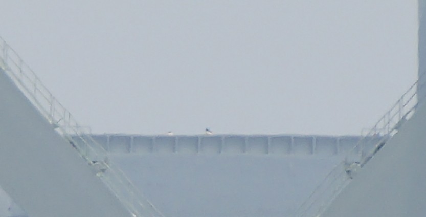 f:id:zo5ur53kle:20170708181712j:plain