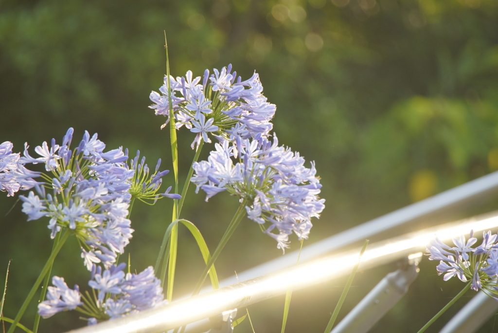 f:id:zo5ur53kle:20170708181822j:plain