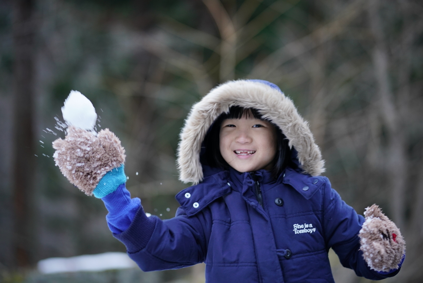 f:id:zo5ur53kle:20190113210431j:plain