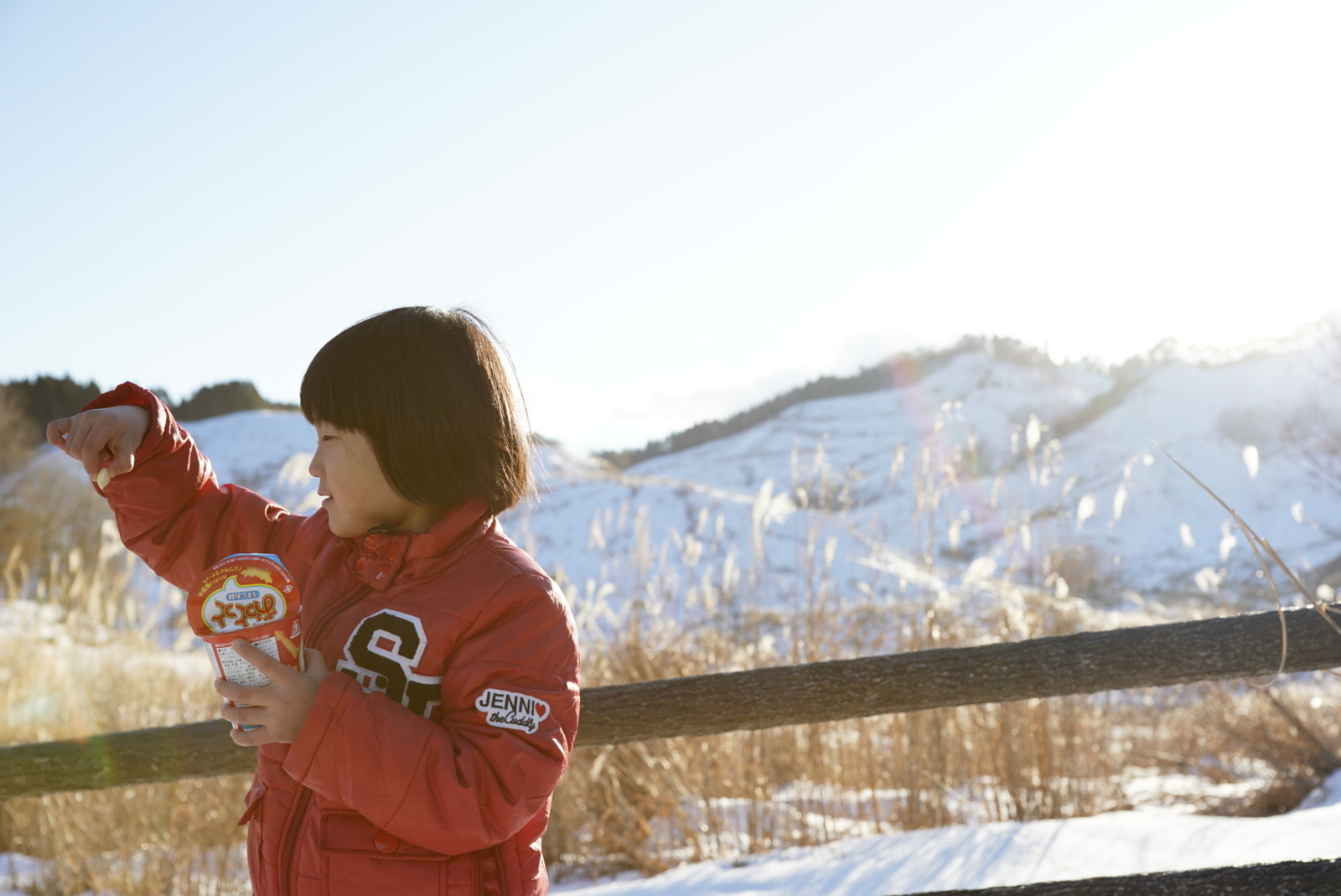 f:id:zo5ur53kle:20190113210435j:plain