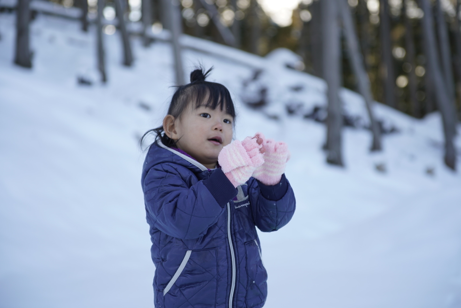 f:id:zo5ur53kle:20190113210439j:plain