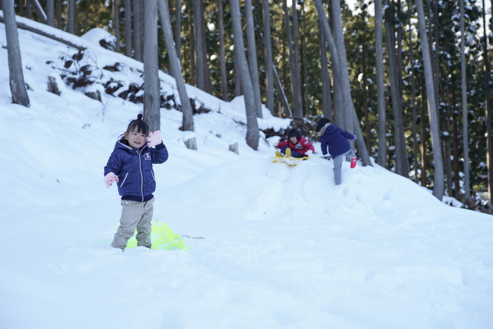 f:id:zo5ur53kle:20190113210444j:plain