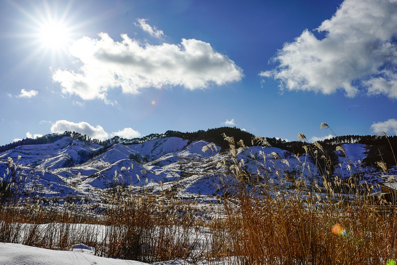 f:id:zo5ur53kle:20190113210625j:plain