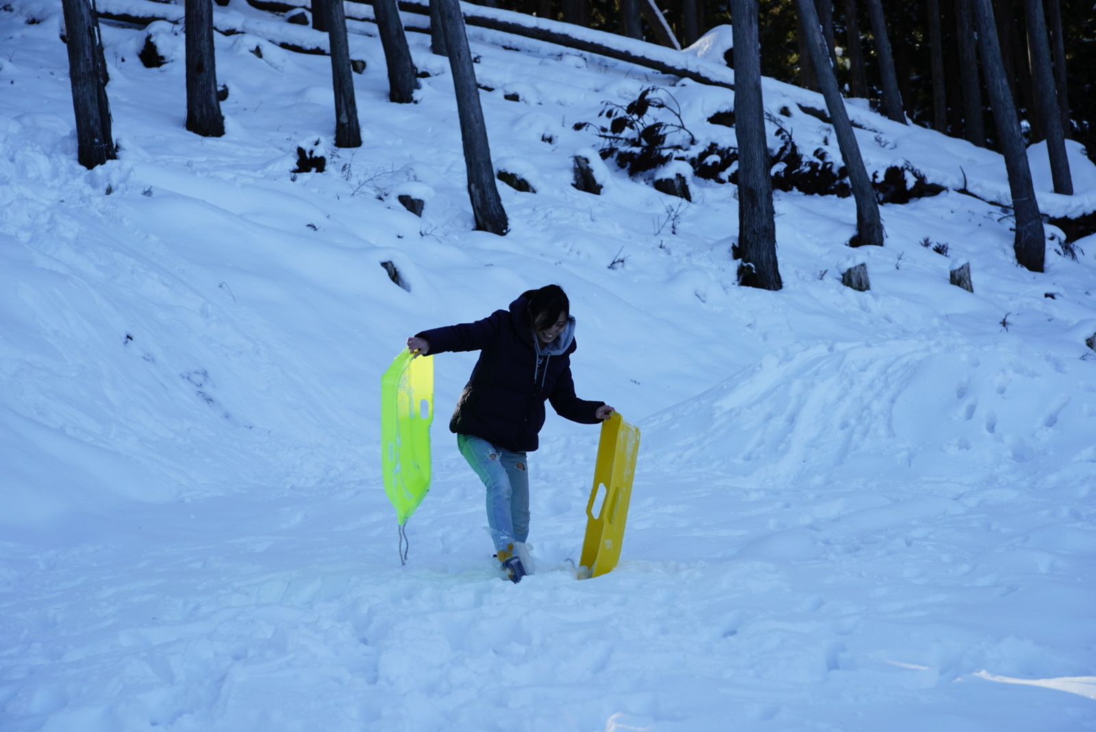 f:id:zo5ur53kle:20190113210630j:plain