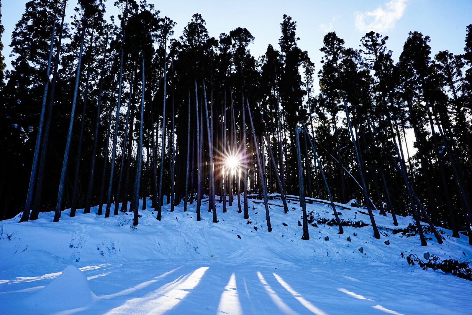 f:id:zo5ur53kle:20190113210743j:plain