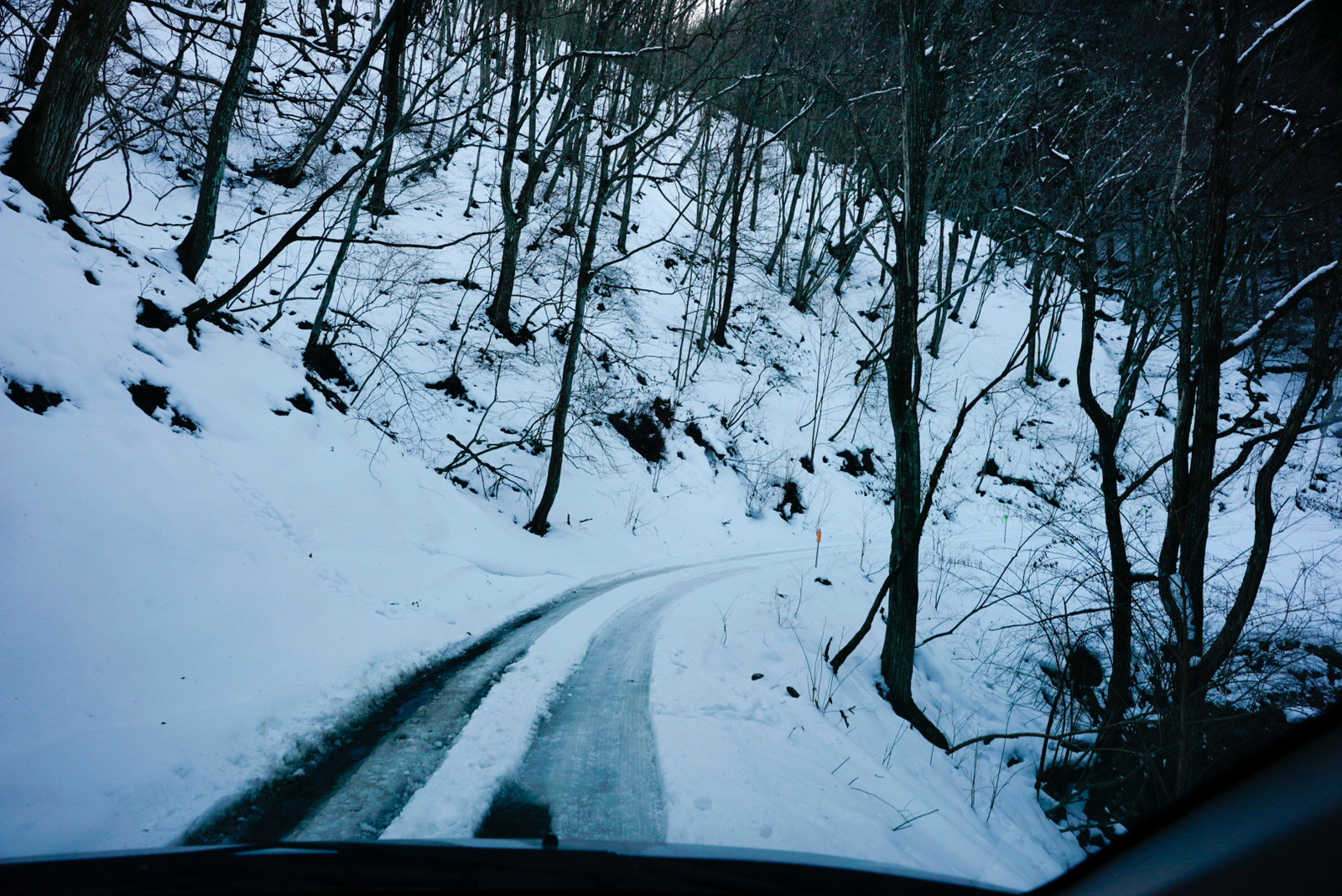 f:id:zo5ur53kle:20190113210755j:plain