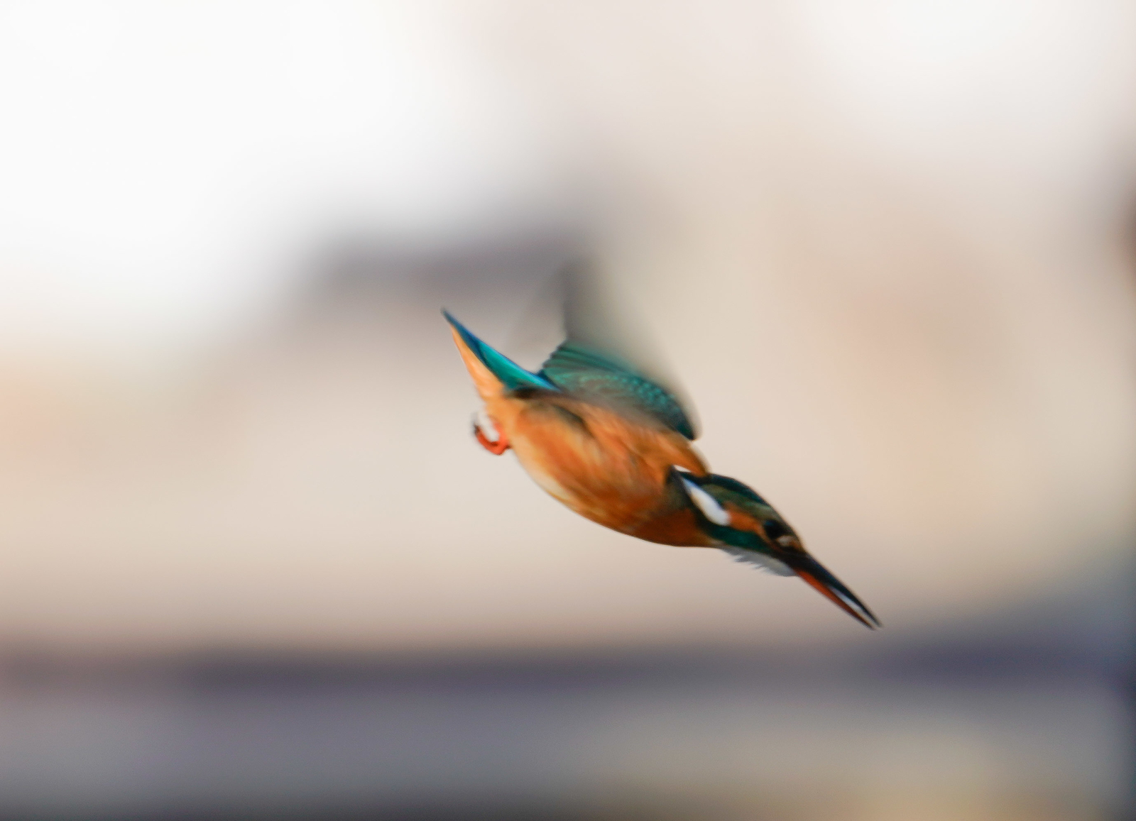 f:id:zo5ur53kle:20190114202806j:plain