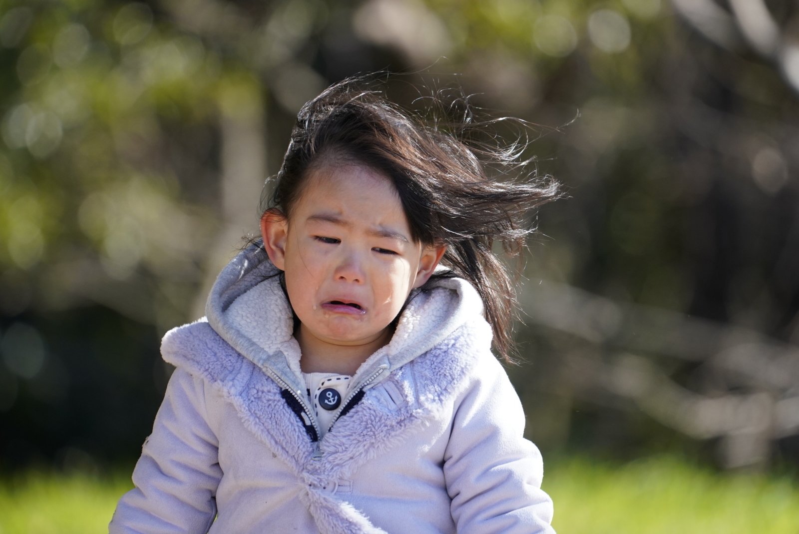 f:id:zo5ur53kle:20190115222248j:plain