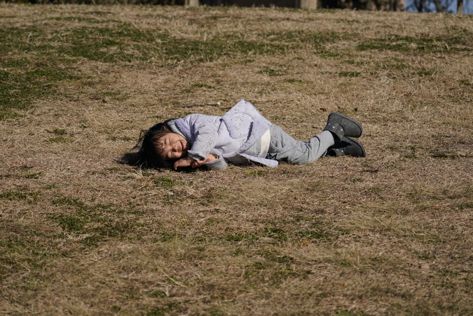 f:id:zo5ur53kle:20190115222253j:plain