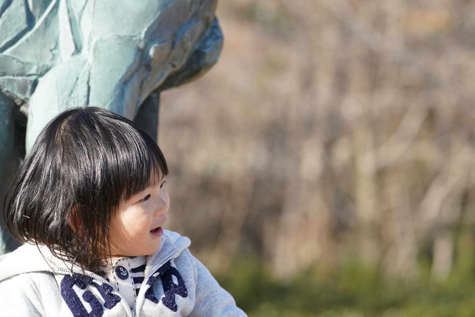 f:id:zo5ur53kle:20190115222309j:plain