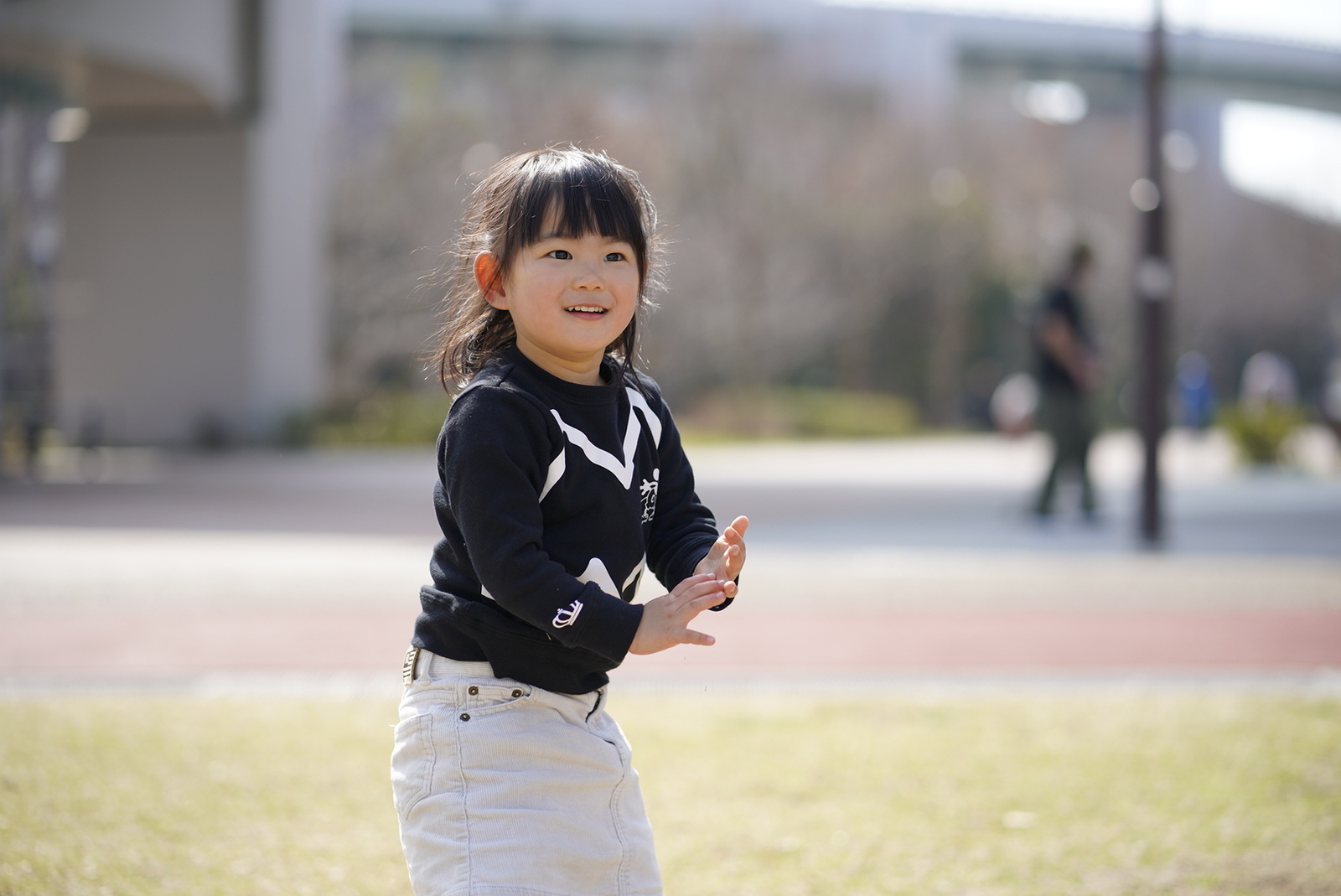 f:id:zo5ur53kle:20190302225535j:plain